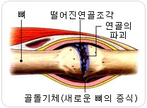 8951_img_01.jpg
